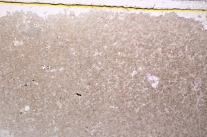 Plane Polarized, E38414