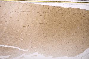 Plane Polarized, E38424