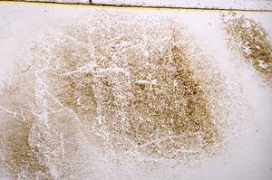 Plane Polarized, E38487