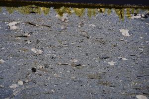 Cross Polarized, E38517