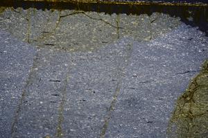 Cross Polarized, E38521