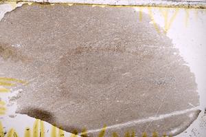 Plane Polarized, E38530