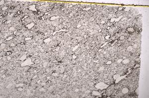 Plane Polarized, E38606