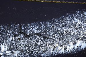 Cross Polarized, E38619