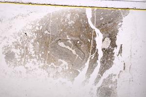 Plane Polarized, E38656