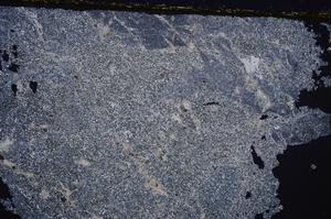 Cross Polarized, E38668