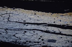 Cross Polarized, E38681