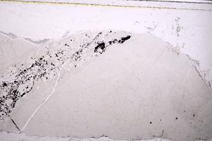 Plane Polarized, E38682/A