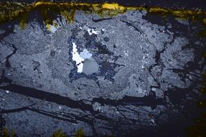 Cross Polarized, E38689