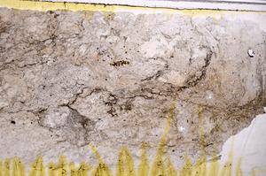 Plane Polarized, E38723