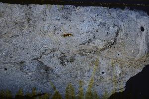 Cross Polarized, E38723