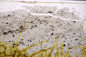 Plane Polarized, E38725