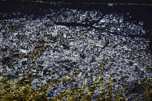 Cross Polarized, E38725