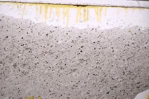 Plane Polarized, E38726