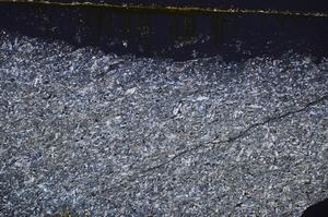 Cross Polarized, E38726