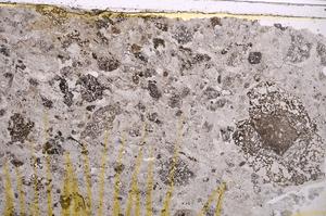 Plane Polarized, E38729