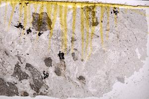 Plane Polarized, E38730