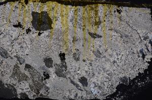 Cross Polarized, E38730