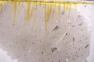 Plane Polarized, E38731