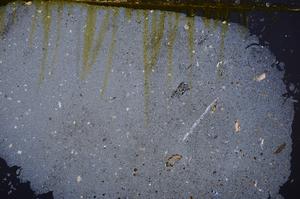 Cross Polarized, E38731