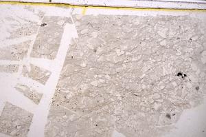 Plane Polarized, E38733