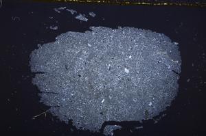 Cross Polarized, E38734