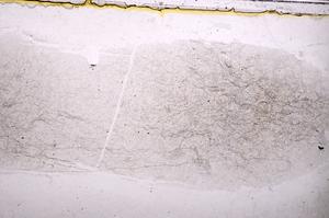 Plane Polarized, E38735