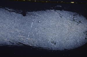 Cross Polarized, E38735