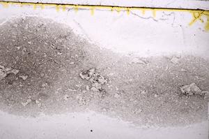 Plane Polarized, E38736