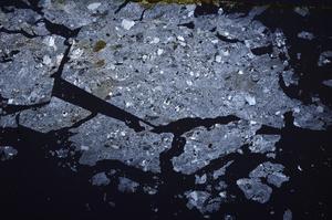 Cross Polarized, E38737