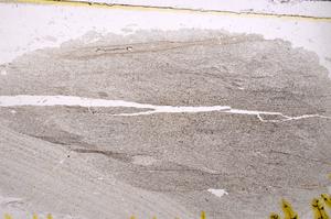 Plane Polarized, E38738