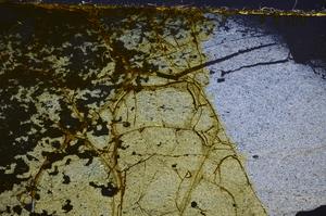 Cross Polarized, E38739