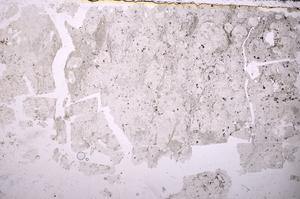 Plane Polarized, E38741