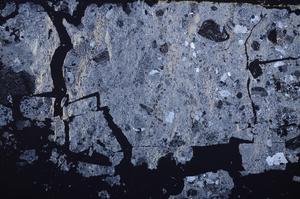 Cross Polarized, E38741