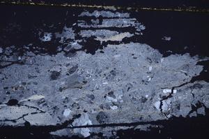 Cross Polarized, E38742