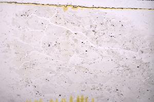 Plane Polarized, E38743