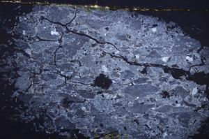 Cross Polarized, E38743