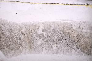 Plane Polarized, E38744