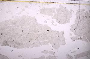 Plane Polarized, E38745