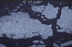 Cross Polarized, E38745