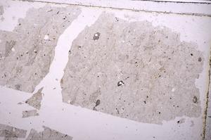 Plane Polarized, E38746