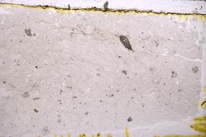 Plane Polarized, E38747