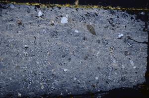 Cross Polarized, E38747