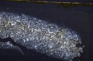 Cross Polarized, E38758