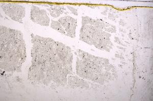 Plane Polarized, E38764