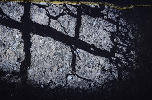 Cross Polarized, E38764