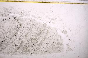 Plane Polarized, E38765