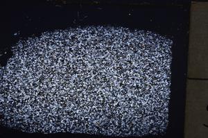 Cross Polarized, E38785