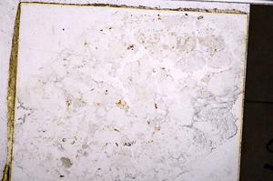 Plane Polarized, E38786