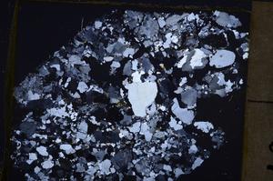 Cross Polarized, E38786